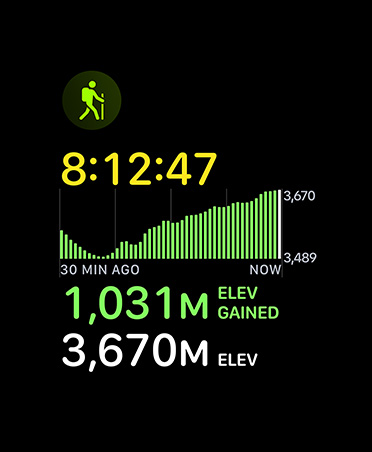 Hiking workout card, metrics: time, elevation